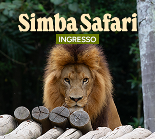 INGRESSO