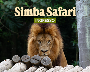 INGRESSO