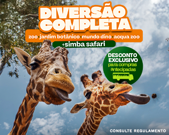 DIVERSÃO COMPLETA