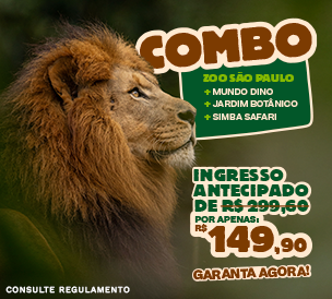 COMBO SIMBA SAFARI