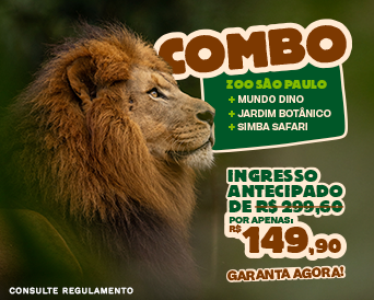 COMBO SIMBA SAFARI