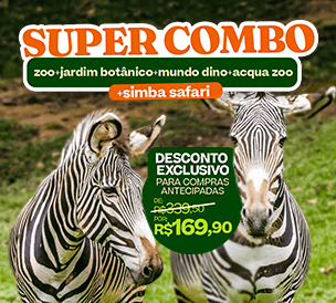 SUPER COMBO