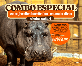 COMBO ESPECIAL